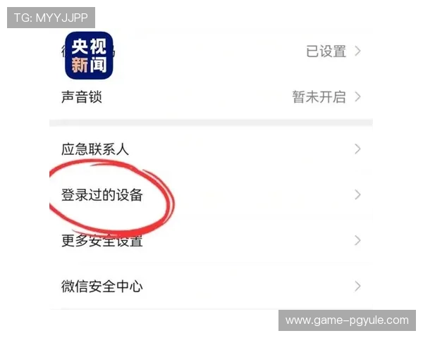 试玩pg的网站安全性分析，保障您的个人信息和资金安全