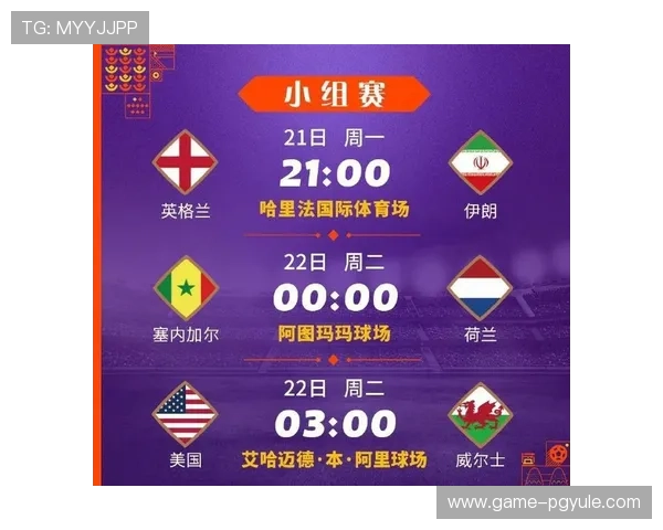 世界杯伊朗对阵埃及比赛门票价格及预订流程全攻略